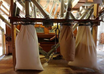 أرباح مطاحن شرق الدلتا ترتفع 31.5% خلال النصف الأول من العام المالي