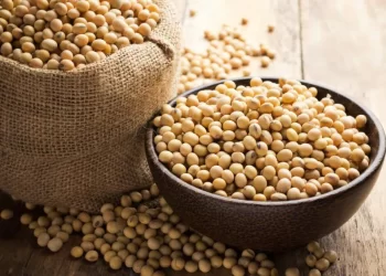 عقود فول الصويا تتجه نحو الانخفاض يوم الأربعاء للجلسة الرابعة على التوالي