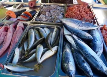 الجمبري يبدأ من 180 جنيها.. أسعار السمك في سوق العبور اليوم الإثنين