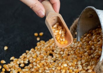 البرازيل تواجه أدنى مستوى لمخزونات الذرة منذ ربع قرن