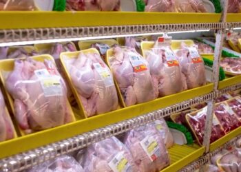 الدواجن في الولايات المتحدة ترتفع أكثر مع انخفاض سعر البيض