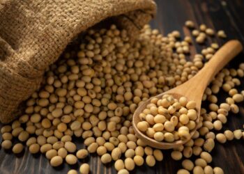فول الصويا يبدأ الأسبوع بخسائر طفيفة في بورصة شيكاغو يوم الإثنين 10 مارس