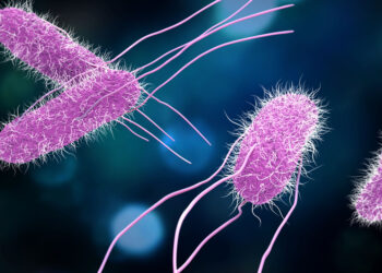 التسمم الغذائي