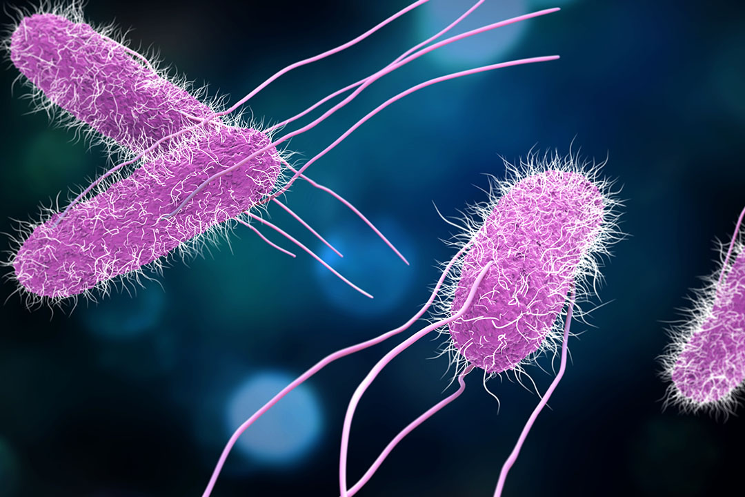 التسمم الغذائي