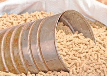 السنطة للأعلاف