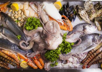 استقرار أسعار السمك اليوم الإثنين 7 أبريل 2025 في سوق الجملة بالعبور