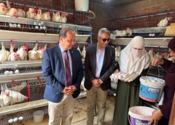 بحوث الصحراء والفاو ينظمان المؤتمر الختامي لمشروع تعزيز سبل العيش المستدامة في جنوب سيناء