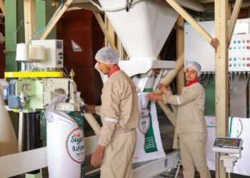 “كايرو ثري إيه” تصدر أول شحنة كسب فول صويا عالية الطاقة إلى أسواق دول الخليج