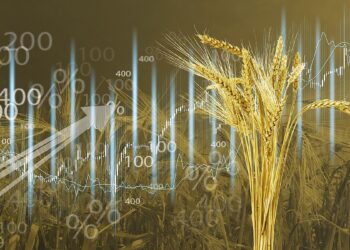 القمح يرتفع بعد خسائره اليوم الأربعاء وتحسن الطقس الأمريكي يحد من المكاسب