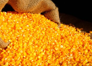 الرسوم الجمركية