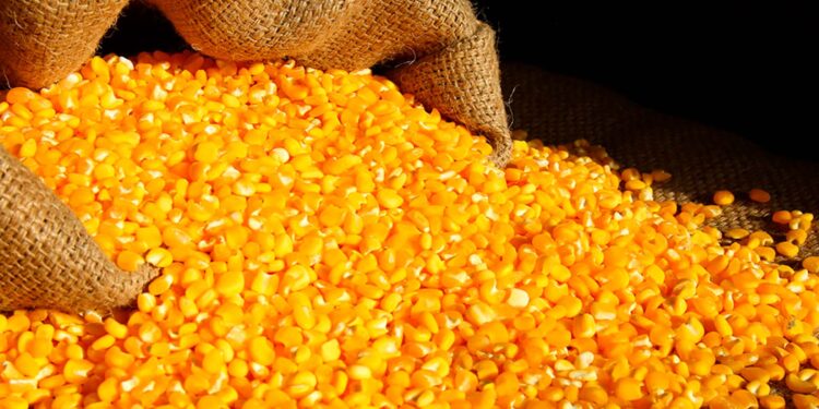 الرسوم الجمركية