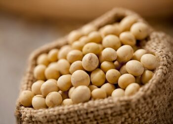 ارتفاع واردات مصر من فول الصويا إلى 4.2 مليون طن للعام التسويقي 2025-2026
