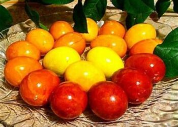 التموين تخفض سعر طبق البيض إلى 120 جنيها بمناسبة شم النسيم