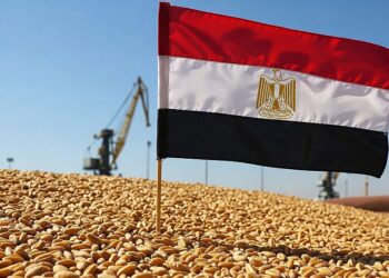 توقعات بوصول واردات مصر من القمح إلى 13 مليون طن والذرة عند 8.7 مليون طن في العام التسويقي 2025-2026