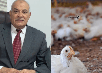 عبد العزيز السيد