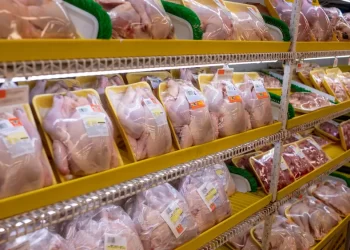 تصدير الدواجن