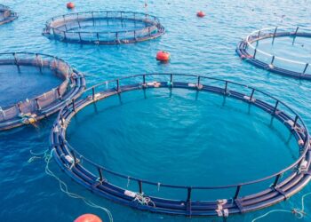 الدعاء للأعلاف