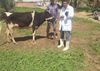 الزراعة: 160 قافلة بيطرية مجانية وإغلاق 85 مركز مخالف لبيع الأدوية البيطرية خلال شهر أبريل