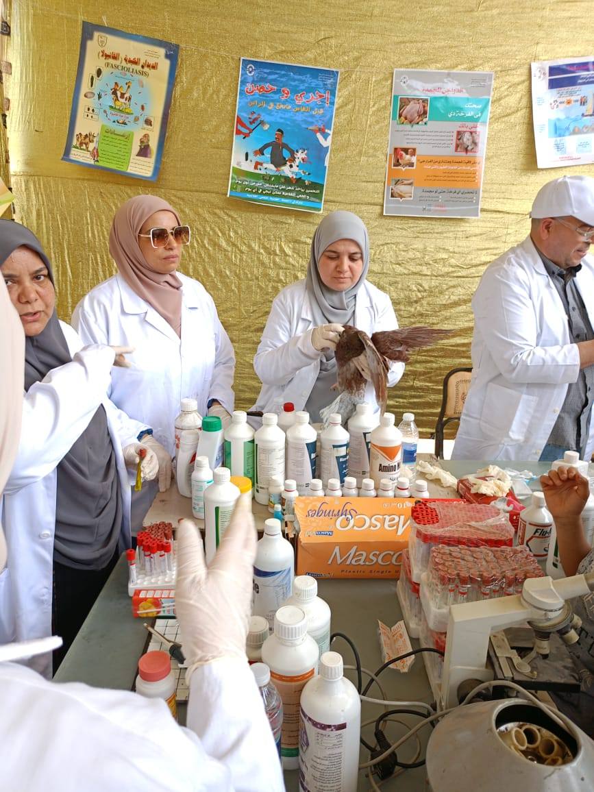 "الزراعة" تطلق 9 قوافل بيطرية والفحص والعلاج المجاني لأكثر من 19 ألف رأس ماشية و 3000 طائر 