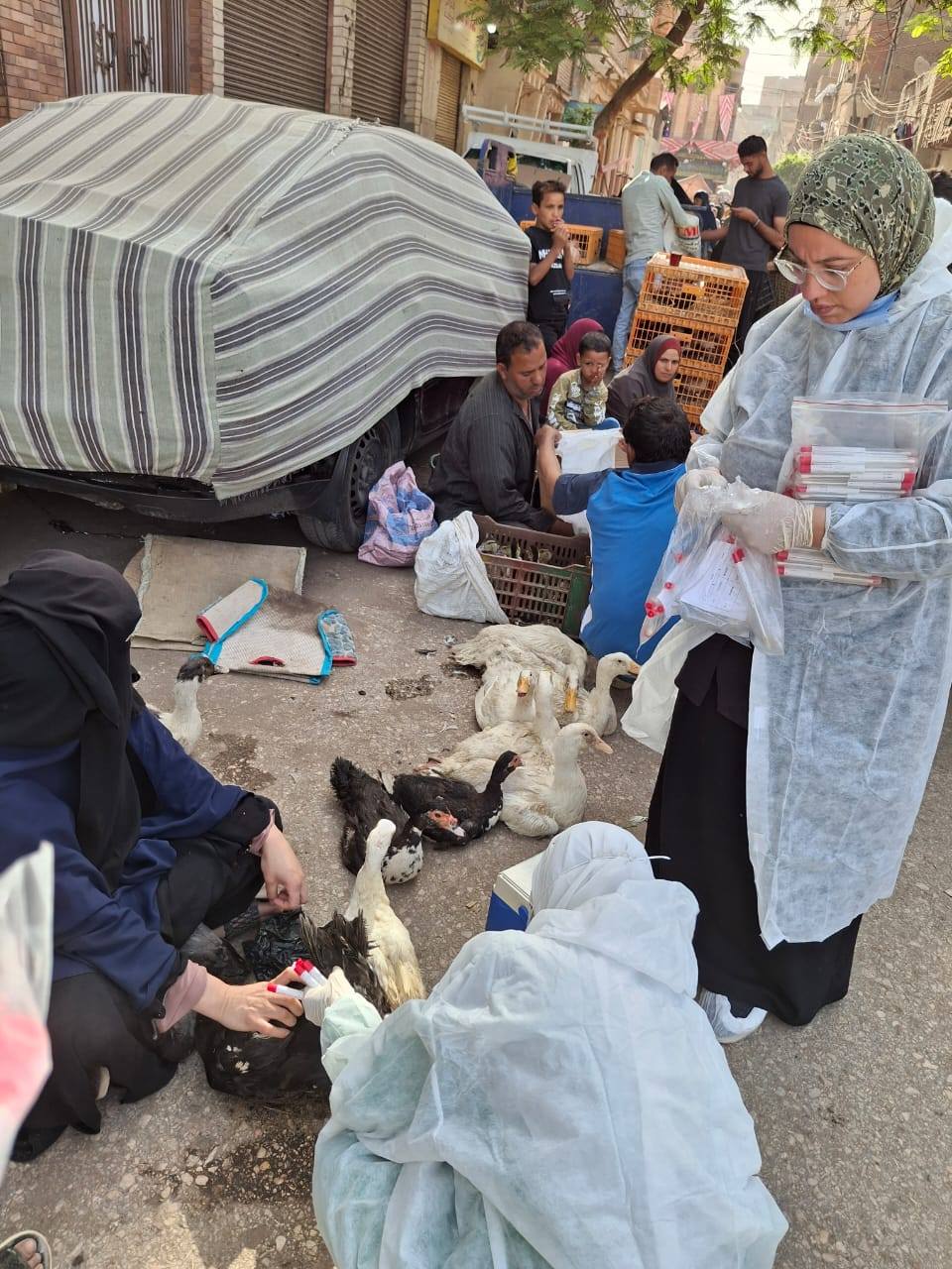 "الخدمات البيطرية" تستعرض جهودها لدعم صحة الحيوان والتوعية المجتمعية في جميع المحافظات