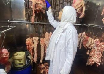 استعدادا لعيد الأضحى.. "الخدمات البيطرية" تعلن تطوير 8 مجازر وتطلق حملات على أسواق اللحوم