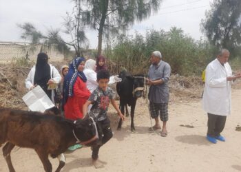 "الزراعة" تطلق 9 قوافل بيطرية والفحص والعلاج المجاني لأكثر من 19 ألف رأس ماشية و 3000 طائر