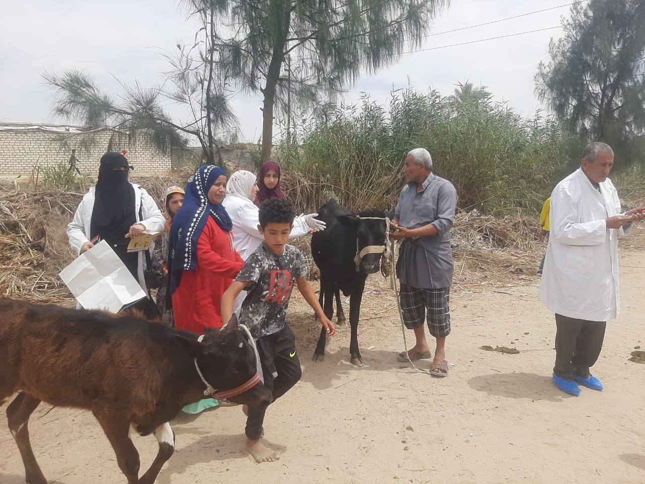 "الزراعة" تطلق 9 قوافل بيطرية والفحص والعلاج المجاني لأكثر من 19 ألف رأس ماشية و 3000 طائر