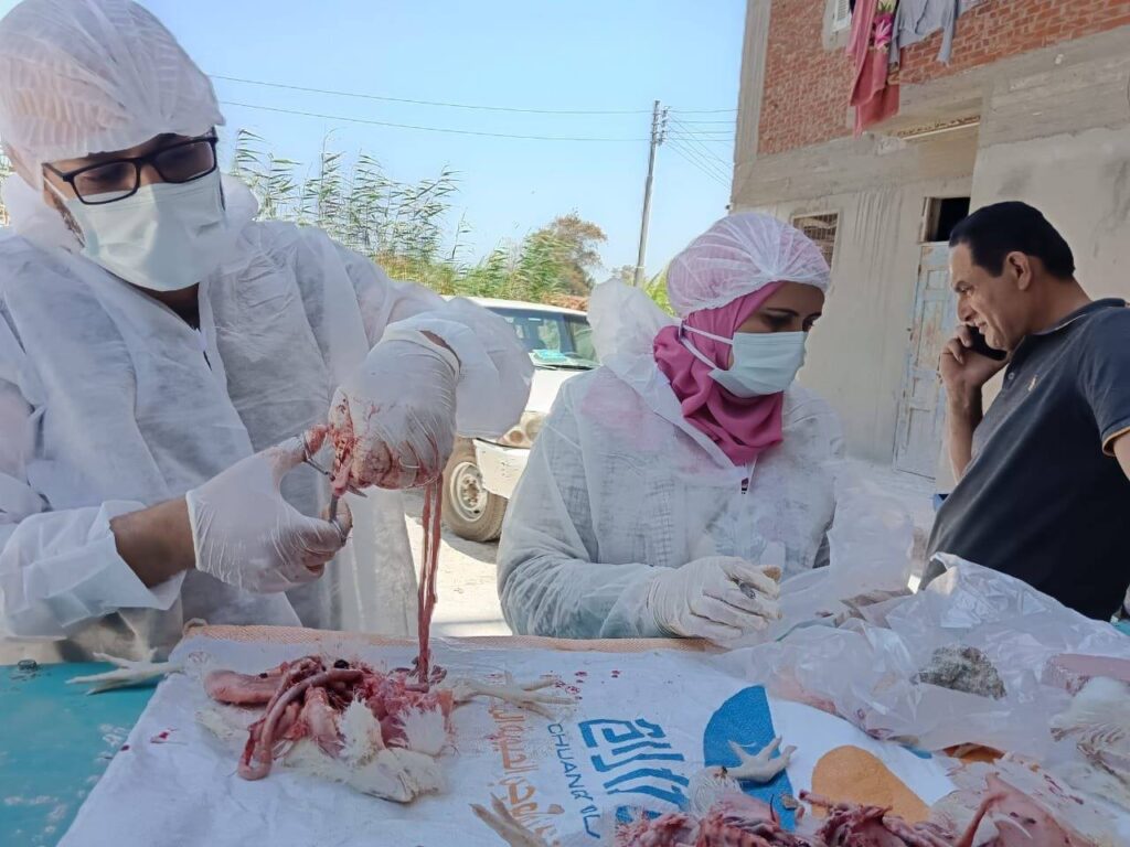 الطب البيطري