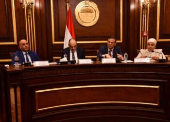 وزير الزراعة: تمويل البتلو تجاوز 9.2 مليار جنيه.. وقروض برنامج التنمية الزراعية أكثر من 12 مليار جنيه