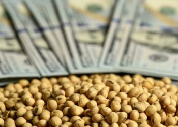 ارتفاع العقود الآجلة لفول الصويا إلى أعلى مستوياتها خلال أسبوع واحد يوم الثلاثاء 21-5-2025