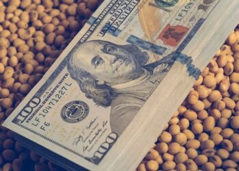 العقود الآجلة لفول الصويا تنخفض وسط مخاوف بشأن التجارة الدولية بسبب ضعف الطلب