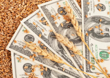 انتعاش العقود الآجلة للقمح يوم الأربعاء بعد انخفاضها إلى أدنى مستوى منذ 5 سنوات يوم الثلاثاء