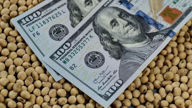 خبراء: سعر فول الصويا يرتفع بشكل حاد في المستقبل القريب