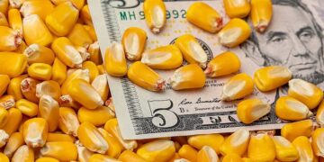 العقود الآجلة للذرة