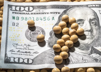 ارتفاع العقود الآجلة لفول الصويا في شيكاغو يوم الثلاثاء بعد أن تراجع ترامب عن تهديداته بفرض رسوم جمركية على سلع الاتحاد الأوروبي