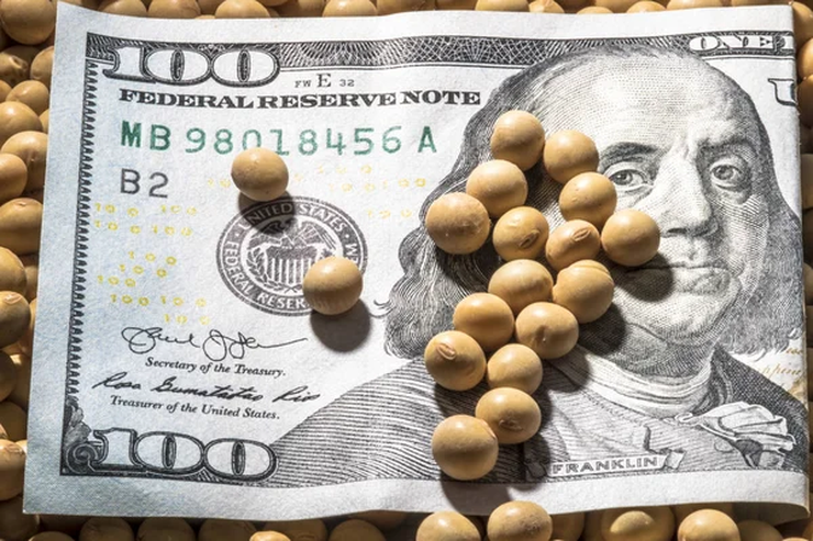 ارتفاع العقود الآجلة لفول الصويا في شيكاغو يوم الثلاثاء بعد أن تراجع ترامب عن تهديداته بفرض رسوم جمركية على سلع الاتحاد الأوروبي