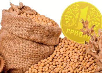 انخفاض صادرات فول الصويا من أوكرانيا في أبريل إلى أدنى مستوى لها منذ 3 أشهر