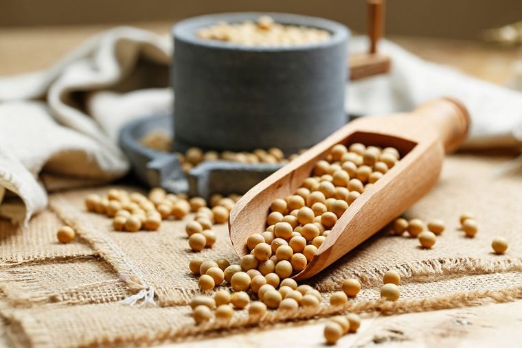 الصين تستأنف واردات فول الصويا البرازيلية من 5 شركات موقوفة