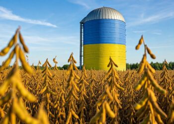 فول الصويا الأوكراني يعزز مكانته في أسواق الاتحاد الأوروبي