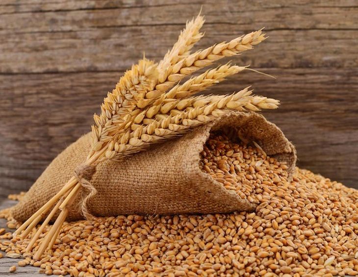 انخفاض صادرات القمح الروسي بنحو ثلاثة أضعاف في مايو
