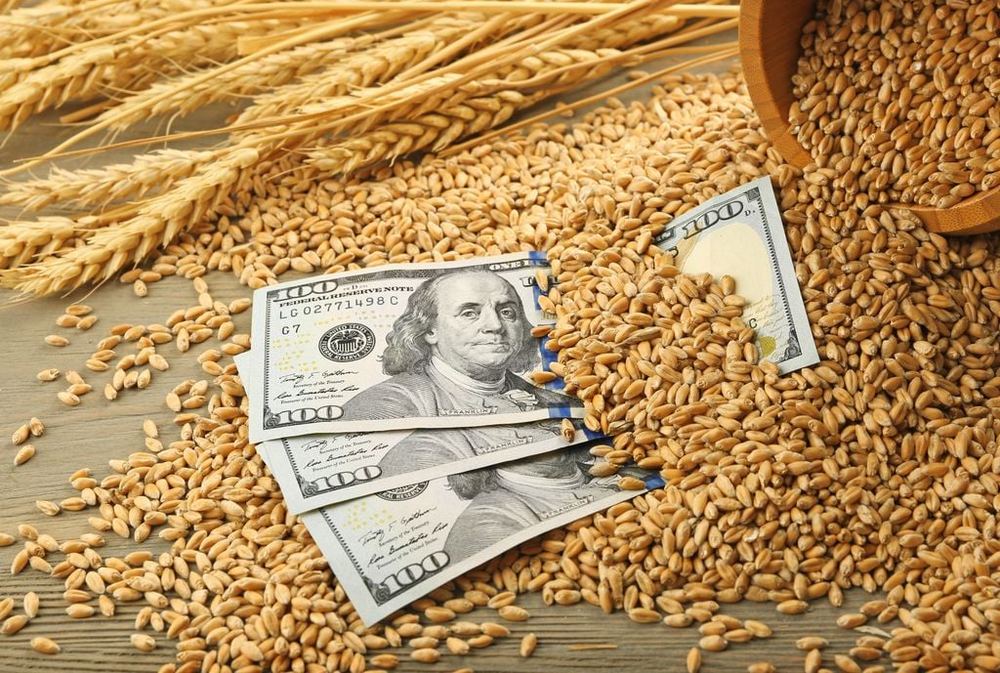 انخفاض عقود القمح إلى أدنى مستوى لها في ختام تعاملات الإثنين 12-5-2025