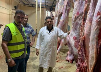 المجازر الحكومية تستقبل 34 ألف أضحية خلال أيام العيد.. بينها أكثر من 23 ألف رأس من الأبقار