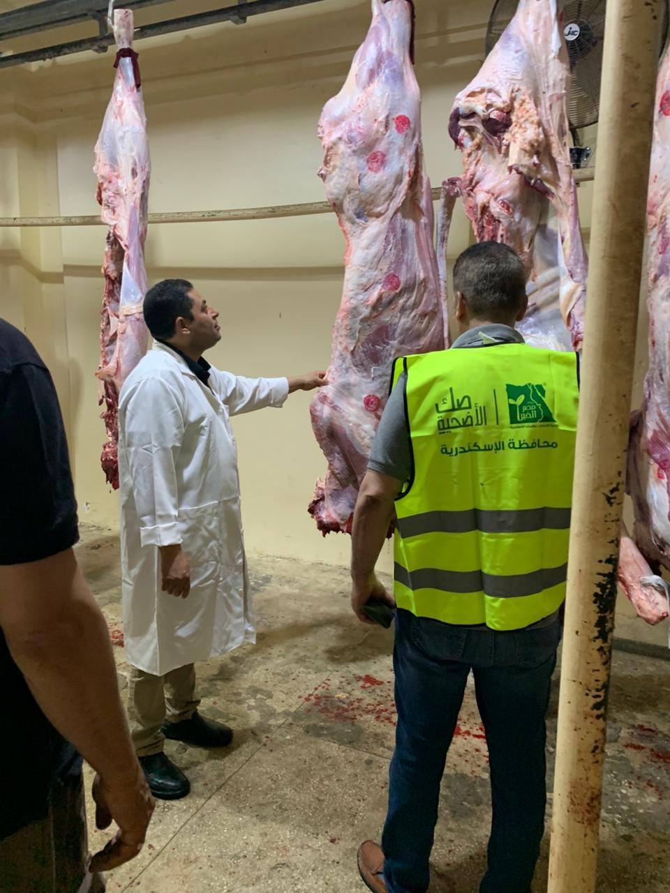 المجازر الحكومية