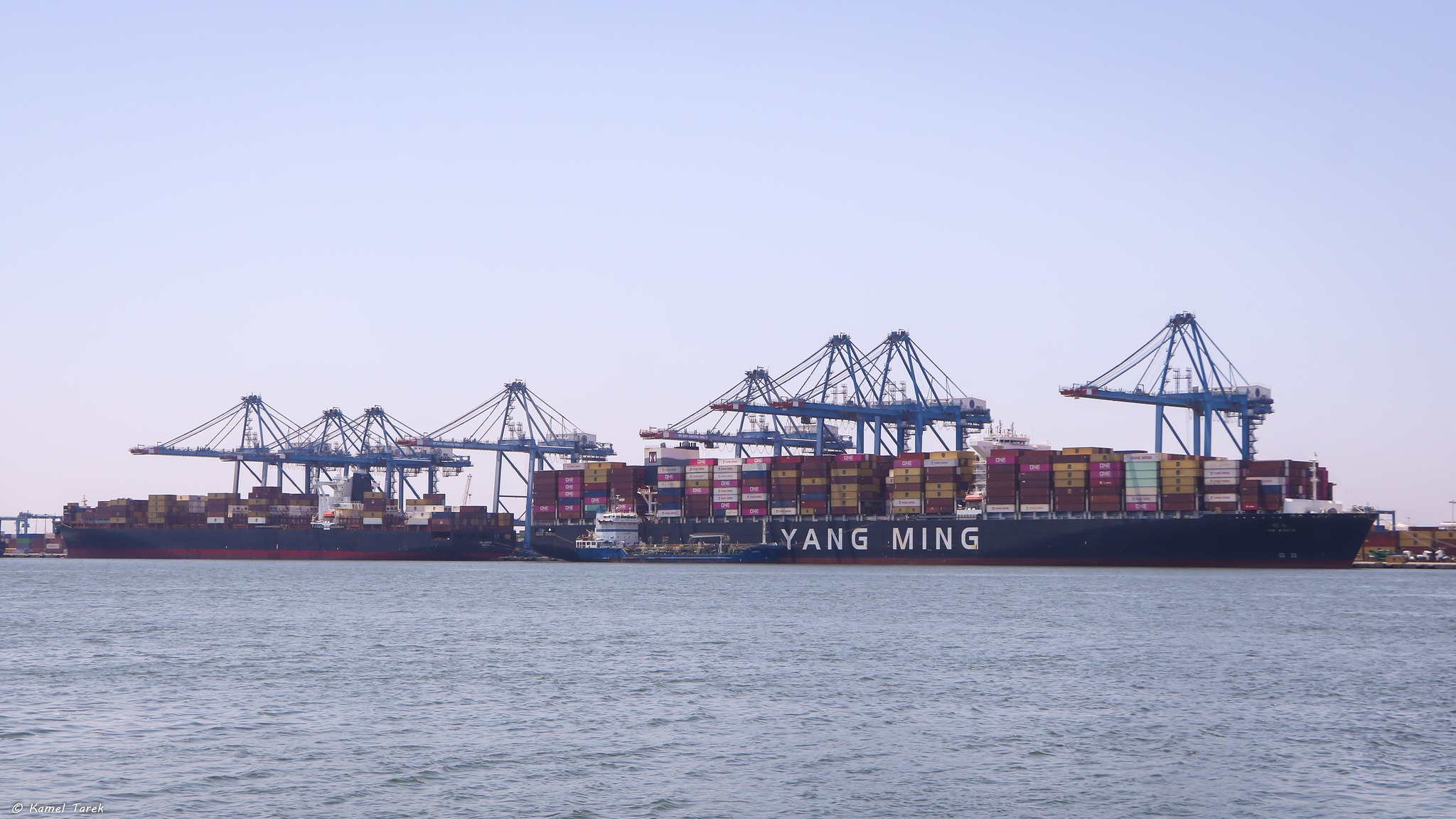 ميناء دمياط يستقبل 7313 طن فول صويا ويُصدر 2500 طن كسب الصويا