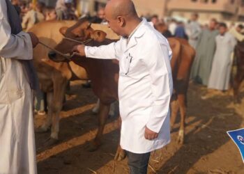 "الزراعة" تواصل حملات التقصي ومتابعة أسواق الماشية في المحافظات