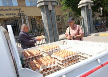 "الزراعة": إطلاق منافذ متنقلة لطرح البيض البلدي والأسماك للمواطنين بأسعار مخفضة