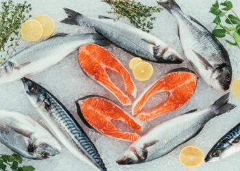 أسعار السمك والجمبري اليوم الإثنين في سوق العبور