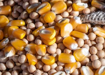 هل تعود الخامات إلي التراجع خلال أيام؟ القصبي يجيب