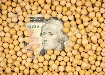 أسعار فول الصويا في أوكرانيا تتناقص تدريجيا بسبب العرض الوفير