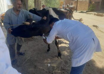 قافلة بيطرية